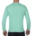 4410 Comfort Colors - Long Sleeve Pocket T-Shirt in Island reef back view