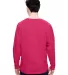 8229 J. America - Game Day Jersey WILDBERRY back view