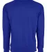 Next Level N9000 Unisex Terry Raglan Pullover in Royal back view