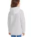 P470 Hanes Youth EcoSmart Pullover Hooded Sweatshi in Ash back view