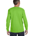 5586 Hanes® Long Sleeve Tagless 6.1 T-shirt - 558 in Lime back view