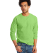 5586 Hanes® Long Sleeve Tagless 6.1 T-shirt - 558 in Lime front view