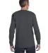 5586 Hanes® Long Sleeve Tagless 6.1 T-shirt - 558 in Charcoal heather back view
