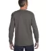5586 Hanes® Long Sleeve Tagless 6.1 T-shirt - 558 in Smoke gray back view
