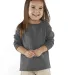 RS3302 Rabbit Skins Toddler Fine Jersey Long Sleev in Charcoal front view