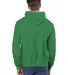 S1051 Champion Logo Reverse Weave Hoodie in Kelly green back view