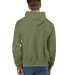 S1051 Champion Logo Reverse Weave Hoodie in Fresh olive back view