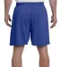 8187 Champion 6.3 oz. Ringspun Cotton Gym Shorts in Royal blue back view