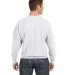 S1049 Champion Logo Reverse Weave Pullover in Silver gray back view