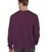S1049 Champion Logo Reverse Weave Pullover in Maroon back view
