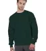 S1049 Champion Logo Reverse Weave Pullover in Dark green front view