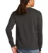 CC8C Champion Logo Long-Sleeve Tagless Tee in Charcoal heather back view