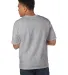 T105 Champion Logo Heritage Jersey T-Shirt in Oxford gray back view