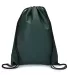 Liberty Bags A136 Non-Woven Drawstring Backpack FOREST GREEN front view