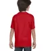 800B Gildan youth Tee in Red back view
