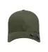 Flexfit 6377 Brushed Twill Cap PINE front view