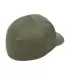 Flexfit 6377 Brushed Twill Cap PINE back view