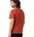 Alternative 6005 Organic Crewneck T-Shirt in Red clay back view