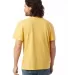 Alternative 6005 Organic Crewneck T-Shirt in Yellow ochre back view