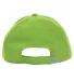 Ash City - Core 365 CE001 Adult Pitch Performance  ACID GREEN back view