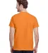Gildan 2000 Ultra Cotton T-Shirt G200 in Tangerine back view