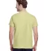 Gildan 2000 Ultra Cotton T-Shirt G200 in Pistachio back view