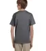 3931B Fruit of the Loom Youth 5.6 oz. Heavy Cotton CHARCOAL GREY back view