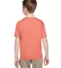 3931B Fruit of the Loom Youth 5.6 oz. Heavy Cotton RETRO HTH CORAL back view