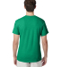 Hanes 42TB X-Temp Triblend T-Shirt with Fresh IQ o in Kelly green hth back view