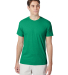 Hanes 42TB X-Temp Triblend T-Shirt with Fresh IQ o in Kelly green hth front view
