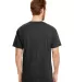 Hanes 42TB X-Temp Triblend T-Shirt with Fresh IQ o in Sol black trblnd back view