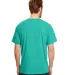 Hanes 42TB X-Temp Triblend T-Shirt with Fresh IQ o in Brzy green trbln back view