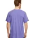Hanes 42TB X-Temp Triblend T-Shirt with Fresh IQ o in Grape triblend back view