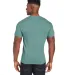 Hanes 42TB X-Temp Triblend T-Shirt with Fresh IQ o in Green clay hthr back view