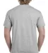 51 H000 Hammer Short Sleeve T-Shirt in Rs sport grey back view