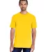 51 H000 Hammer Short Sleeve T-Shirt in Daisy front view