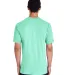 51 H000 Hammer Short Sleeve T-Shirt in Island reef back view