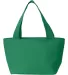 Liberty Bags 8808 Simple and Cool Cooler KELLY GREEN back view