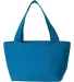 Liberty Bags 8808 Simple and Cool Cooler TURQUOISE back view