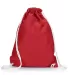 Liberty Bags 8895 Jersey Mesh Drawstring Backpack RED front view