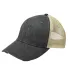 Ollie Cap in Black/ tan front view