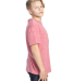 Threadfast Apparel 602A Youth Triblend T-Shirt in Red triblend side view