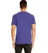 Next Level Apparel 4210 Unisex Eco Performance T-S in Heather sapphire back view