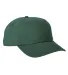 Big Accessories BA610 Heavy Washed Canvas Cap in Bottle green front view