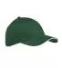 BX004 Big Accessories 6-Panel Twill Sandwich Baseb in Forest/ stone front view