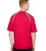 A4 Apparel N3001 Men's Spartan Short Sleeve Color  in Scarlet/ graphit back view