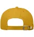 Champion Clothing CA2000 Classic Washed Twill Cap in C gold back view