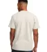 Next Level 3600 T-Shirt in Oatmeal back view