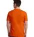Next Level 3600 T-Shirt in Classic orange back view