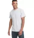 Next Level 3600 T-Shirt in Heather gray front view